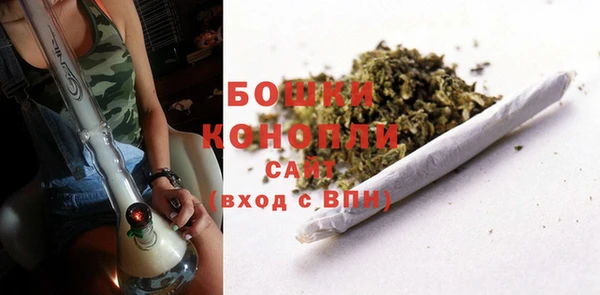 ГАЛЛЮЦИНОГЕННЫЕ ГРИБЫ Дмитровск