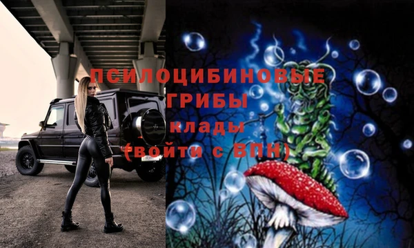 a pvp Дмитриев