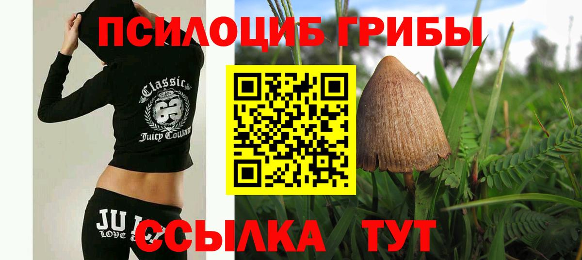 как найти закладки  Вход с VPN  Чернушка  Псилоцибиновые грибы мухоморы 