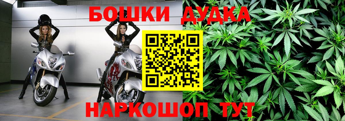 Канабис гибрид Чернушка